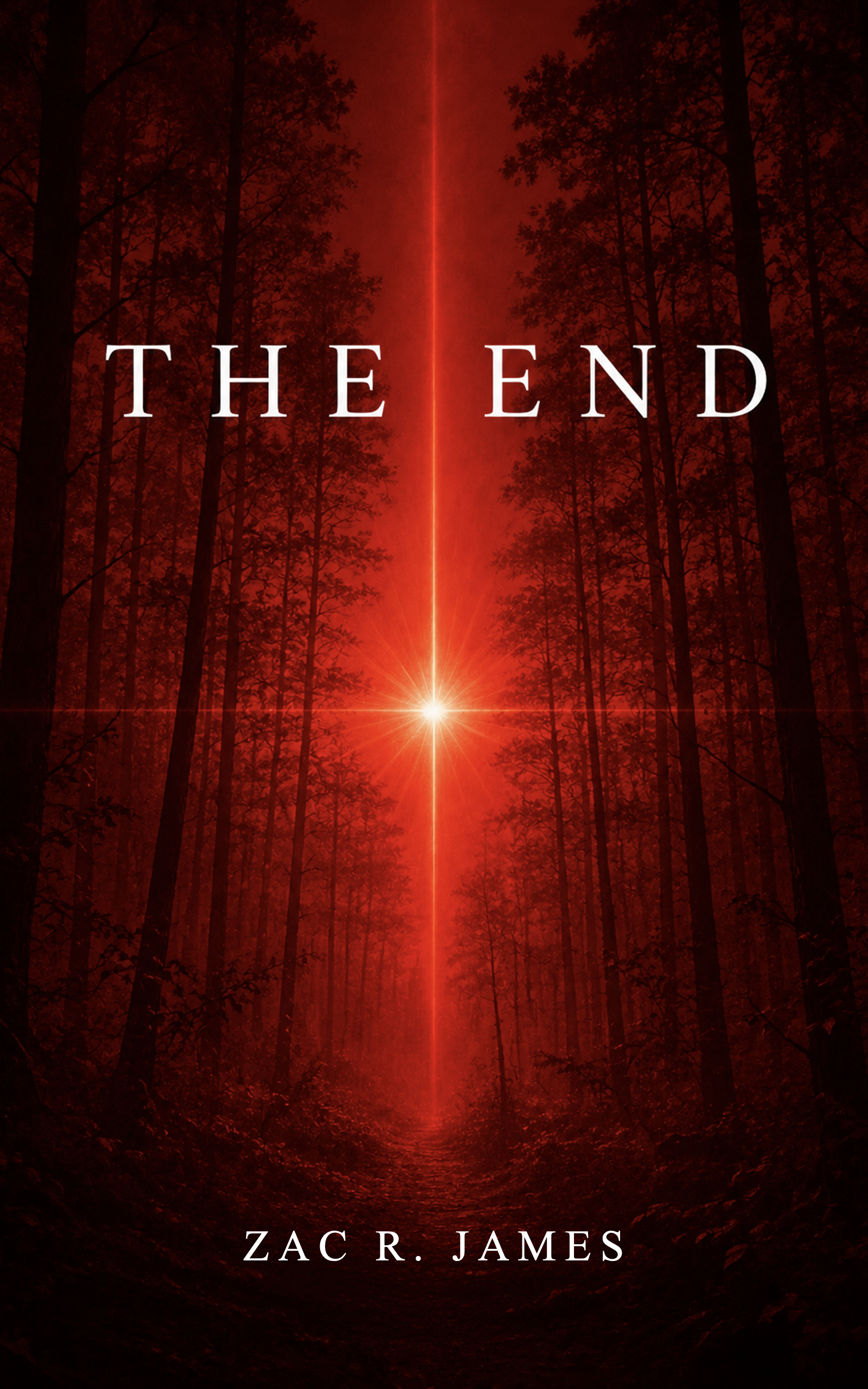 The End book cover